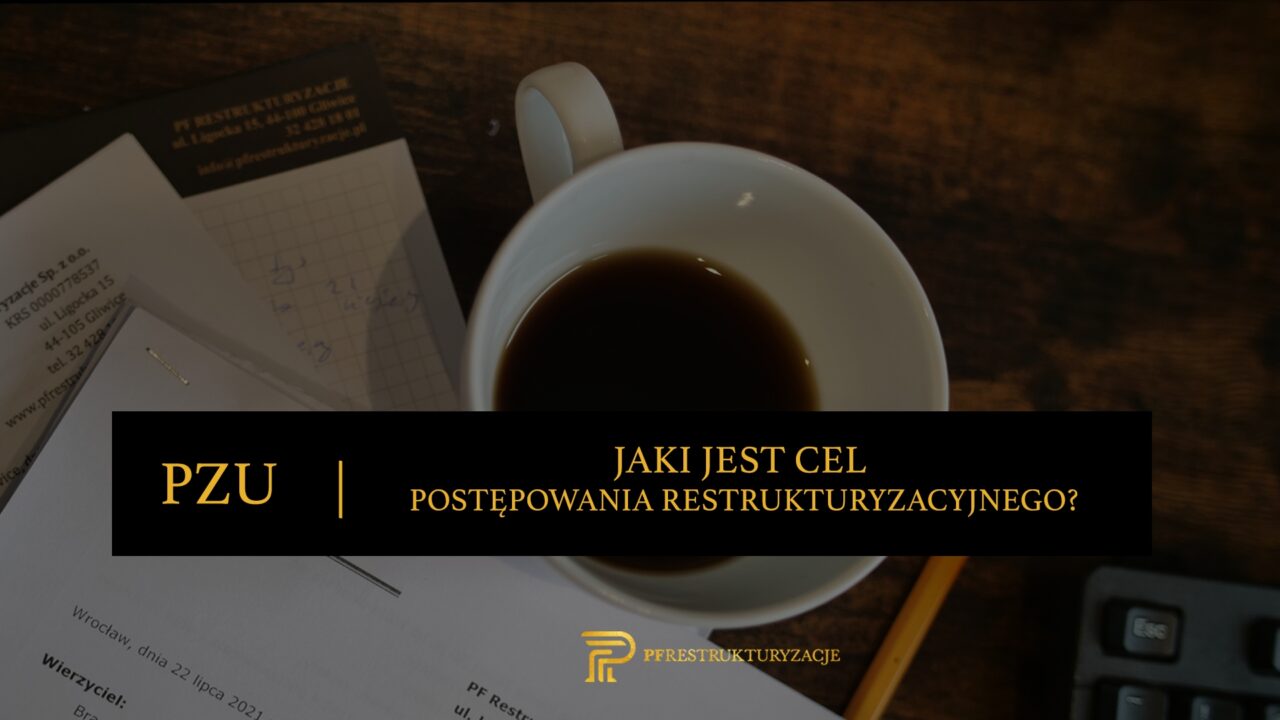 https://pfrestrukturyzacje.pl/wp-content/uploads/2022/09/JAKI-JETS-CEL-PZU-1280x720.jpg